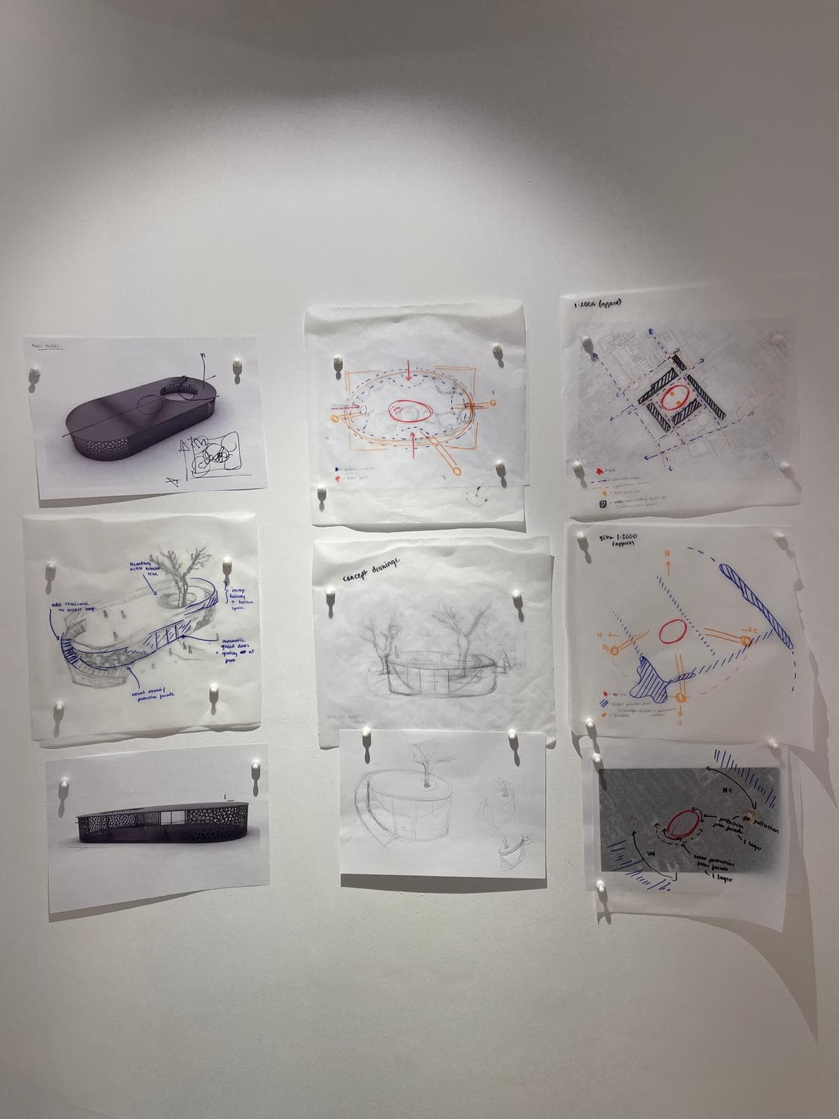 The full body of hand-drawn and 3D work produced over the one-week placement: concept sketches, site and pollution diagrams, and model photography pinned in progress.